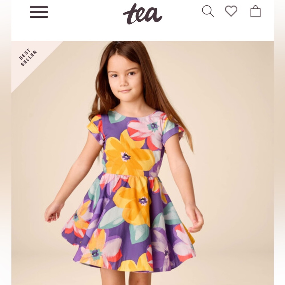 WORN ONCE Tea Collection Button Back Skirted Dress size 4